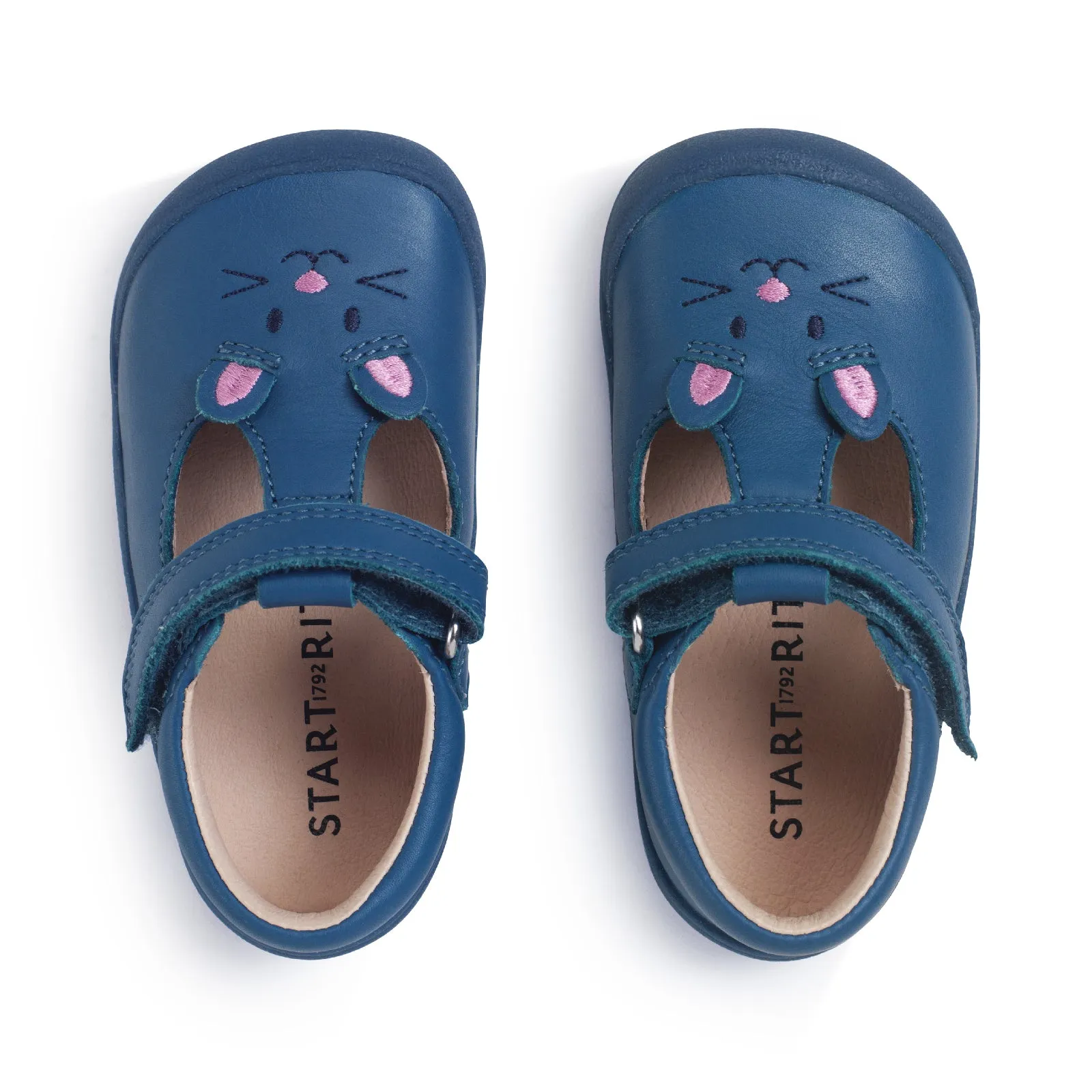 Startrite Fellow Shoes 0827 Blue Cat